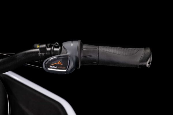 CUBE Cargo Sport Dual Hybrid 1000 flashwhite´n´black – Bild 4